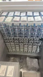 Anti-Aging-Peptide-Epitalon-Epithalon-10mg-50mg (1)