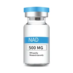 NAD+ Peptide 100mg–1000mg | Premium Quality Vials USA